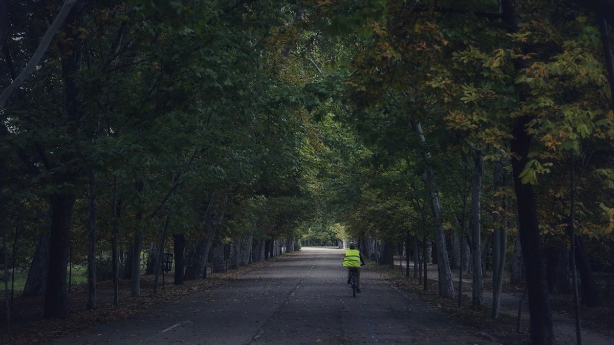 a person riding a bicycle on a path surrounded by trees
